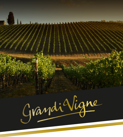 Grandi Vigne