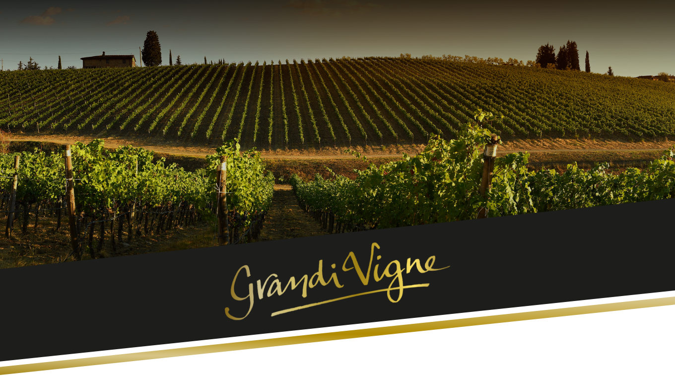 Grandi Vigne