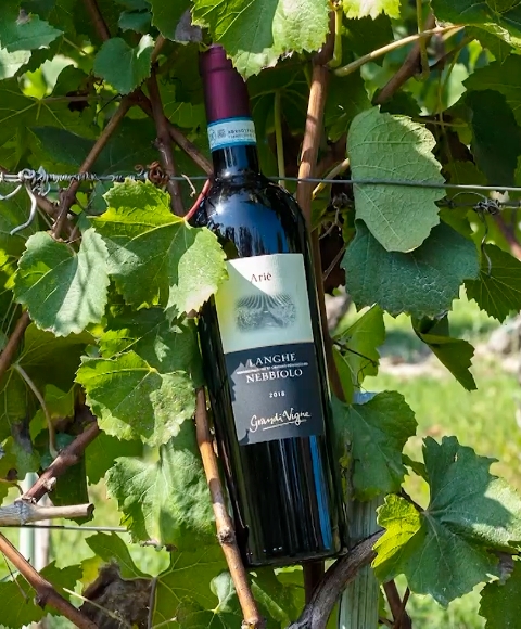 Cantina Batasiolo