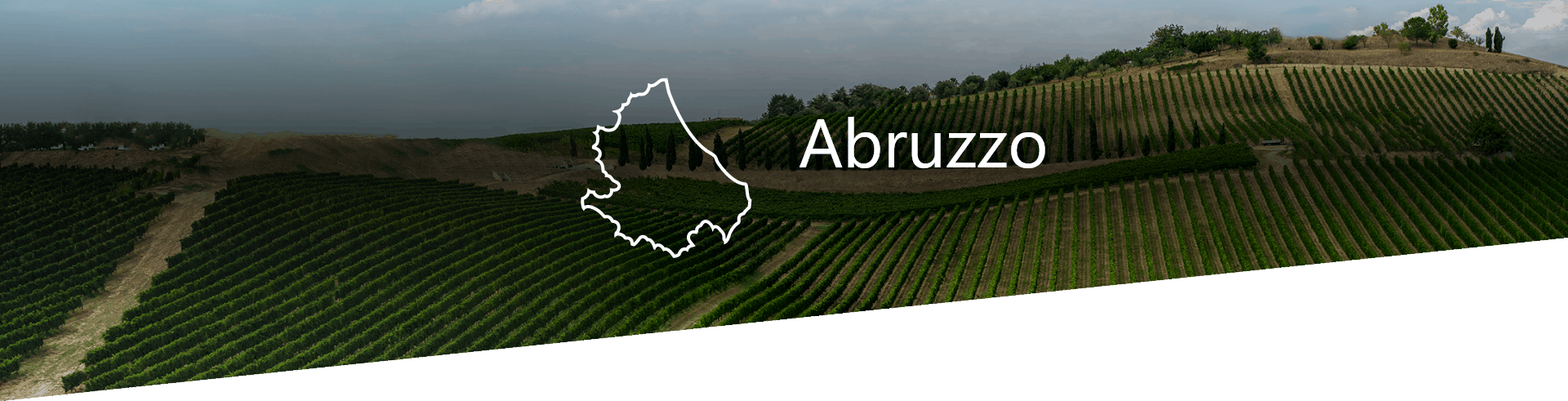 Selezione Vini e Cantine in Abruzzo