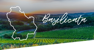 Selezione Vini e Cantine in Basilicata