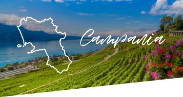 Selezione Vini e Cantine in Campania