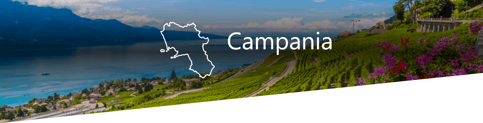 Selezione Vini e Cantine in Campania