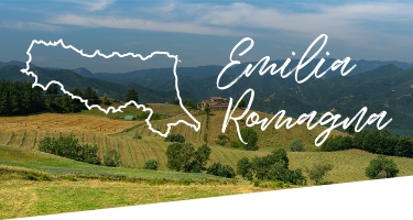 Selezione Vini e Cantine in Emilia Romagna