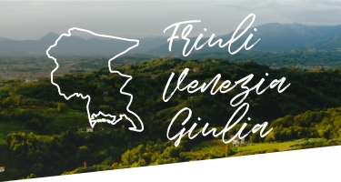 Selezione Vini e Cantine in Friuli Venezia Giulia