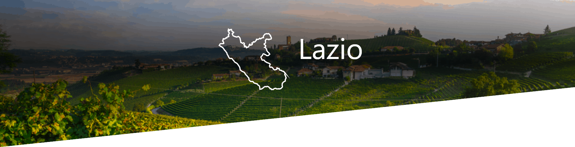 Selezione Vini e Cantine in Lazio
