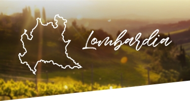 Selezione Vini e Cantine in Lombardia