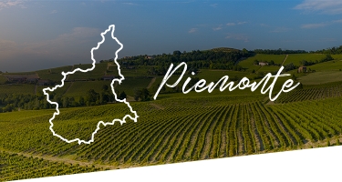 Selezione Vini e Cantine in Piemonte