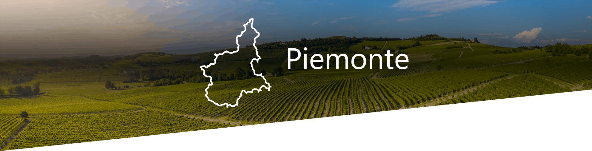 Selezione Vini e Cantine in Piemonte