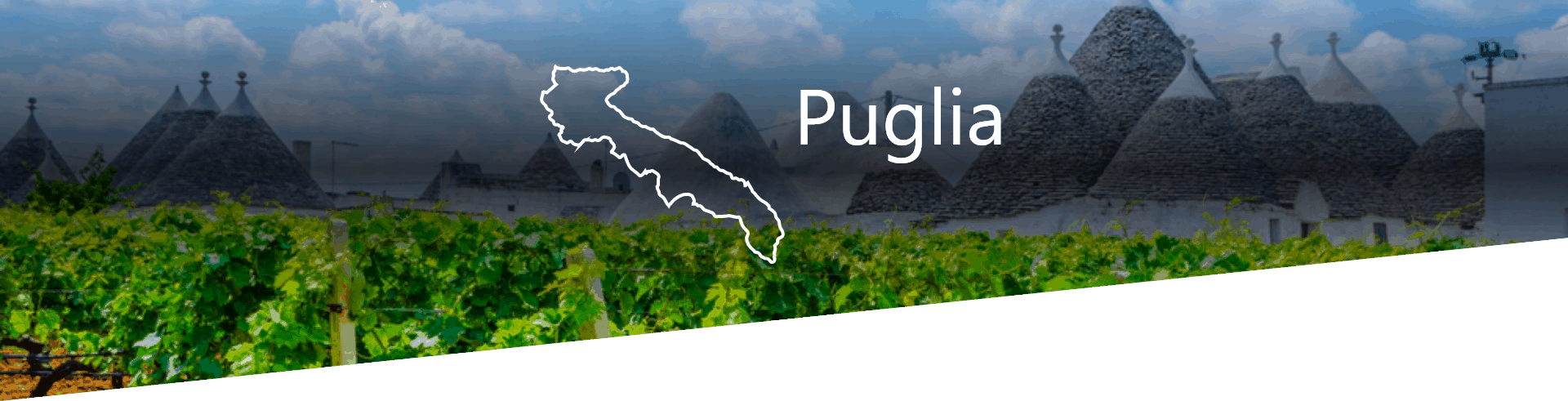 Selezione Vini e Cantine in Puglia