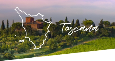 Selezione Vini e Cantine in Toscana