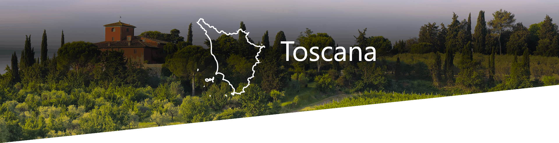 Selezione Vini e Cantine in Toscana