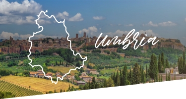 Selezione Vini e Cantine in Umbria