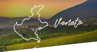 Selezione Vini e Cantine in Veneto